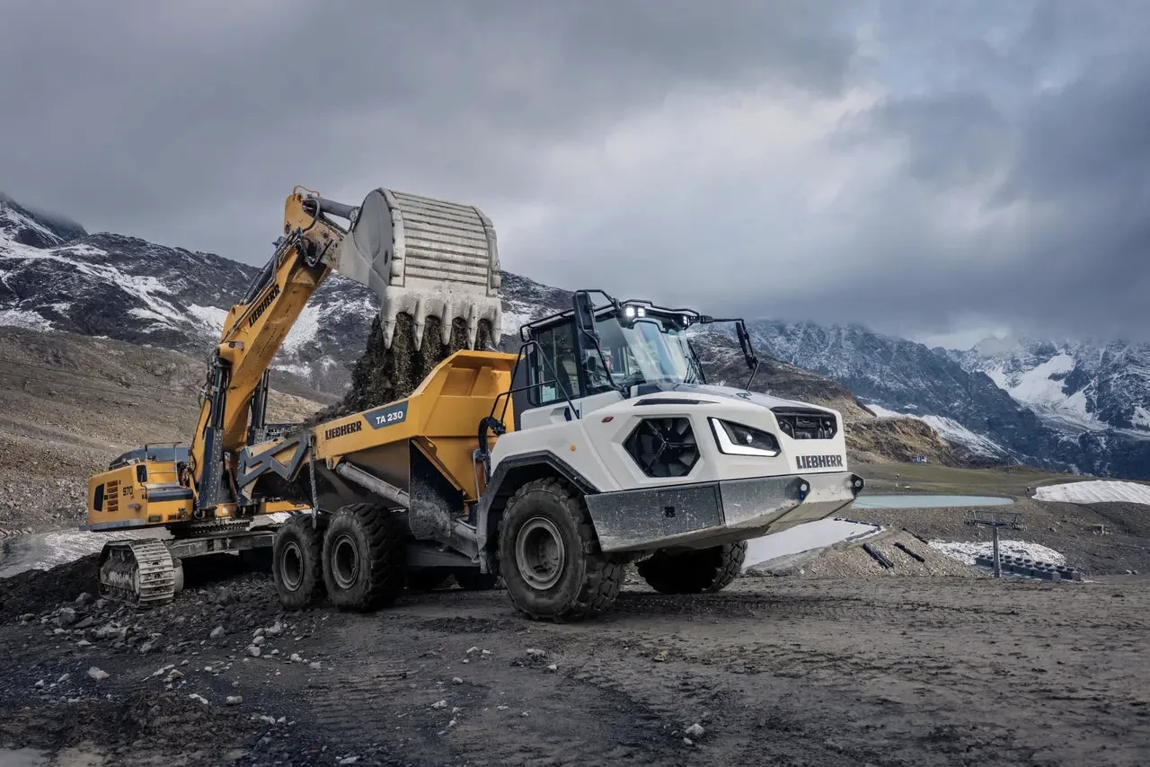 Dumper Articolati