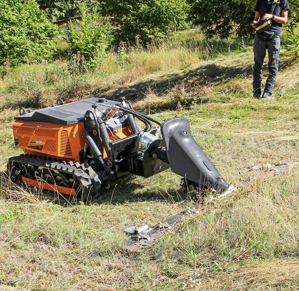 Robot radiocomandati
